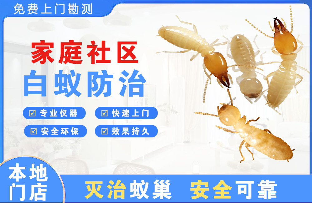 渠县家庭社区白蚁防治