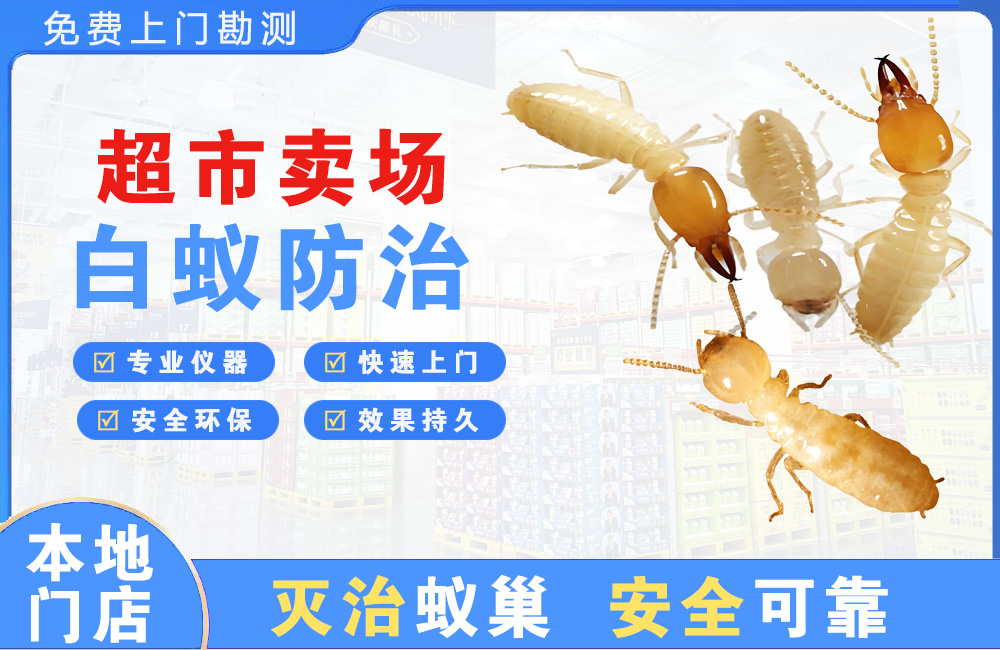 渠县超市卖场白蚁防治