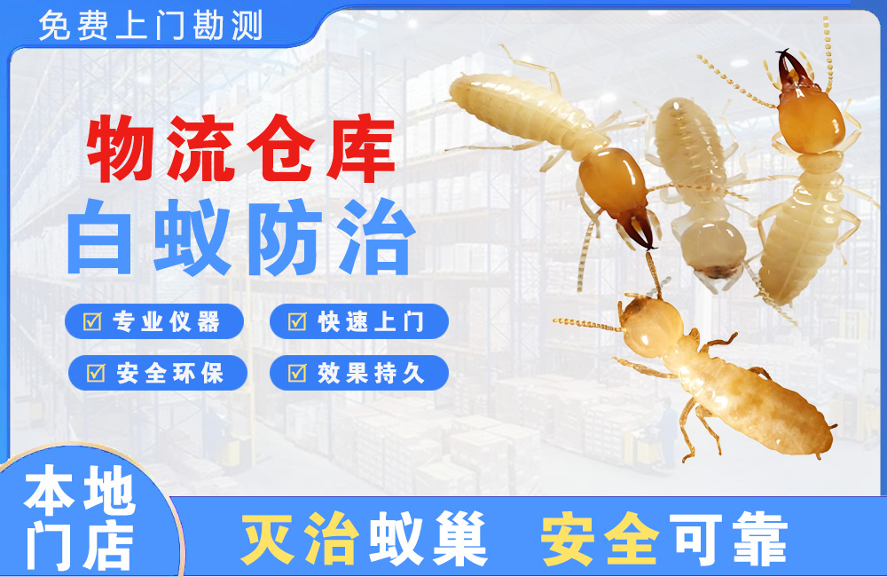 渠县物流仓库白蚁防治