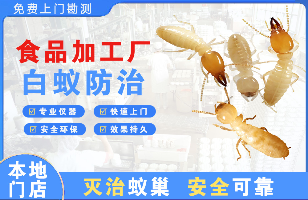 渠县食品加工厂白蚁防治