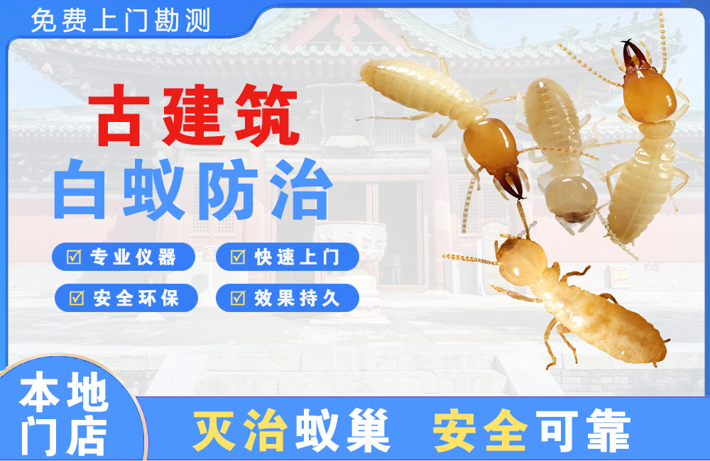 渠县古建筑白蚁防治