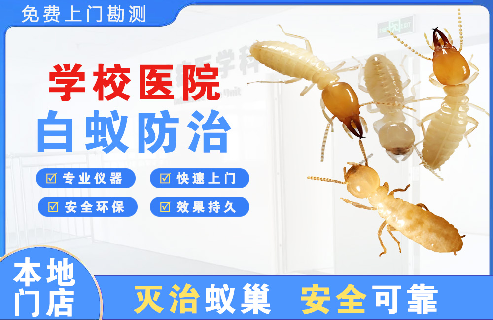 渠县学校医院白蚁防治