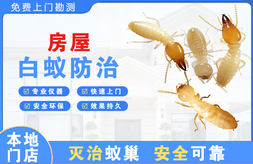 渠县房屋白蚁防治