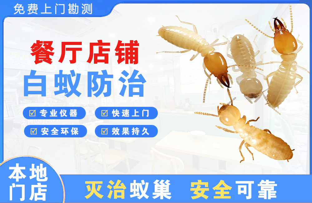 渠县餐厅店铺白蚁防治